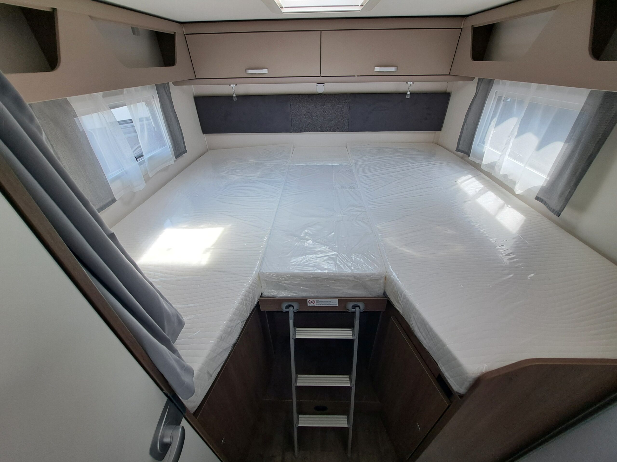Galeria Carado T447 Edition26